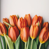 flowers wallpaper HD