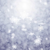 Winter Snow Live Wallpaper