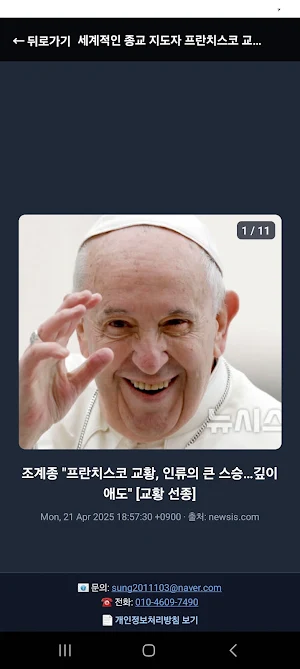 지배뉴스 Screenshot 2