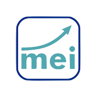 MELIUZ MEI