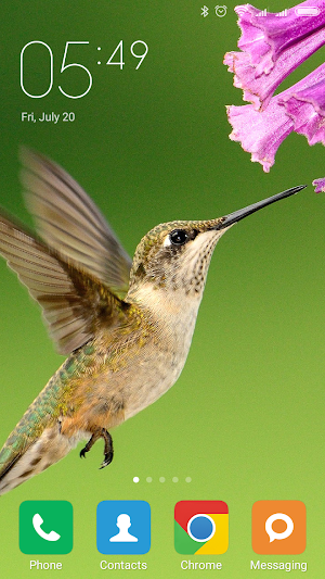 Hummingbird Wallpapers Screenshot 3