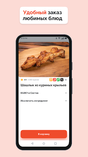 ШАШЛЫК-ЭКСПРЕСС Screenshot 0