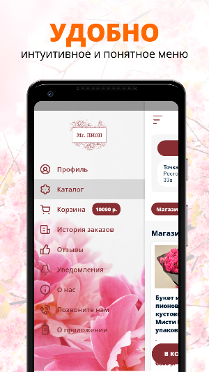Mr.ПИОН | Ростов-на-Дону Screenshot 1