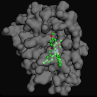 MolDock - Protein-Ligand Dock