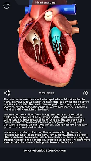 Heart Anatomy Pro. Screenshot 2