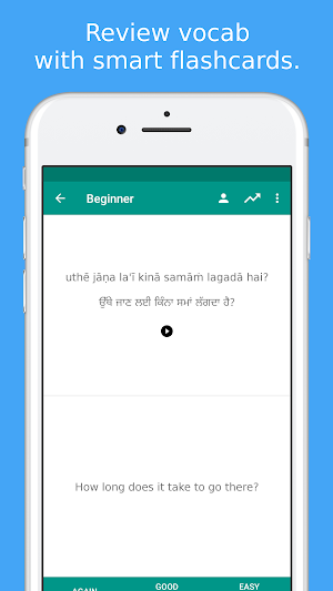 Simply Learn Punjabi Screenshot 3