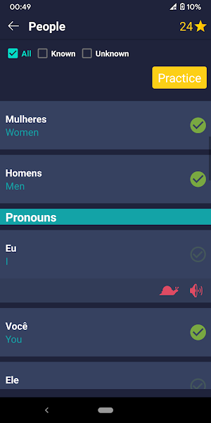 Learn Portuguese - Beginners Screenshot 2