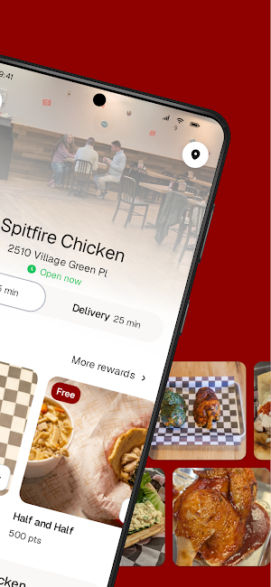 Spitfire Chicken Screenshot 1