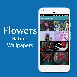 Best Nature Wallpapers Screenshot 1