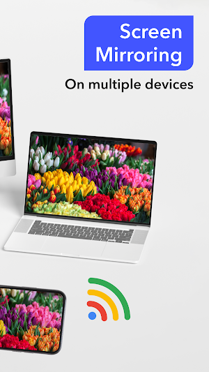 Cast TV Screen Mirroring Pro Screenshot 3