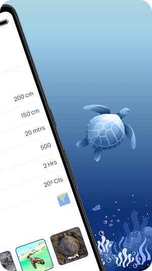 Turtle Guardian Screenshot 3