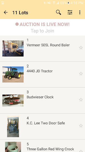 M & R Auctions Screenshot 1