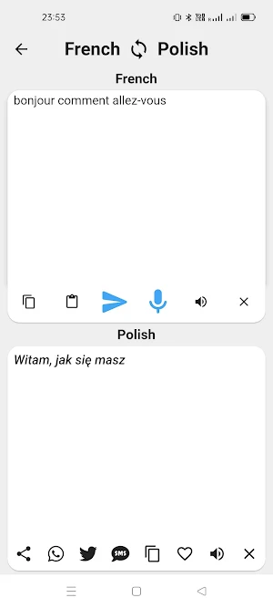 French To Polish Translator Screenshot 1