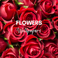 Flower Wallpapers