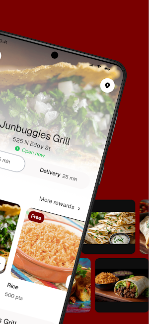 Junbuggies Grill Screenshot 1