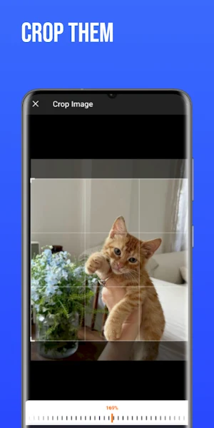 PhotoForge Screenshot 3