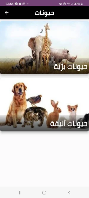 animals Screenshot 0