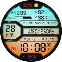 DIGI SATURON WD164 Watch face