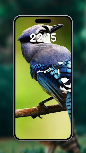 Cute birds wallpapers Screenshot 2