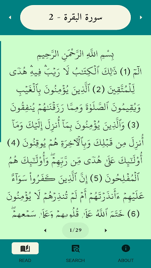 Quran Insights Screenshot 3