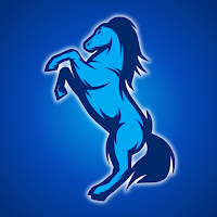Aurora Hills Mustangs