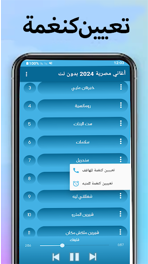 أغاني مصرية 2024  بدون نت Screenshot 2