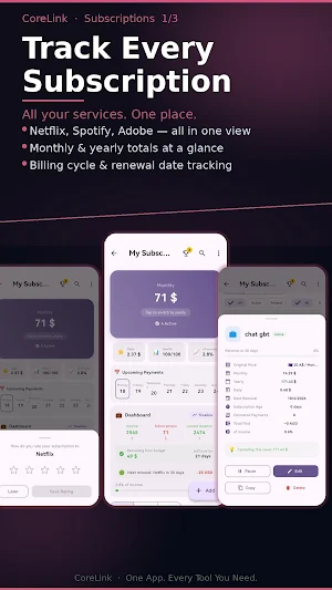 Corelink:Budget&Expense&Tools Screenshot 2