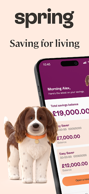 Spring: Easy Access Savings Screenshot 0