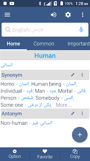 English To Persian Dictionary Screenshot 2