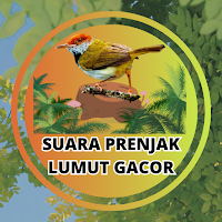 Suara Prenjak Lumut Gacor