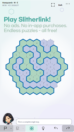 Kiwi Slitherlink Screenshot 0