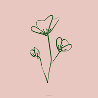 BloomFWB