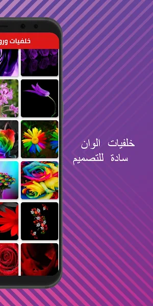 خلفيات الوان سادة للتصميم Screenshot 3