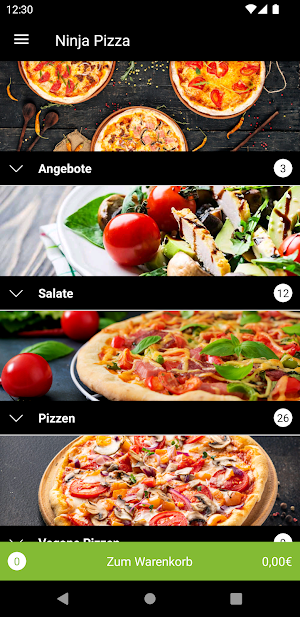 Ninja Pizza Screenshot 1