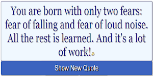 Richard Bandler Quotes Nlp Screenshot 0