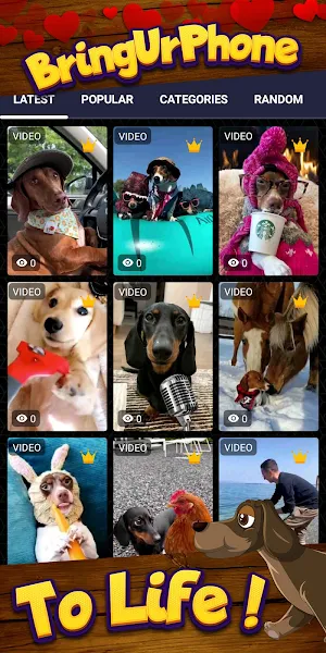 dachshund wallpaper Screenshot 1