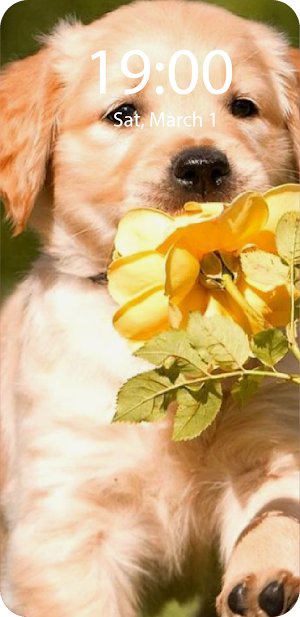 Puppy Live Wallpaper Parallax Screenshot 3