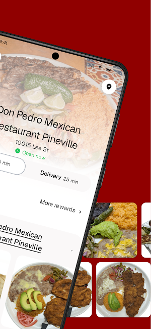 Don Pedro Restaurant To Go Screenshot 1