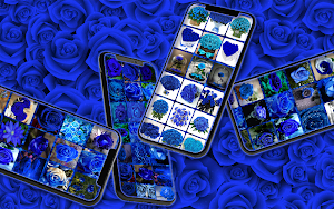 Rose pictures: all colors Screenshot 3