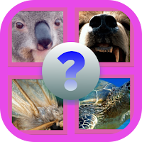The Zoomed Animal Quiz