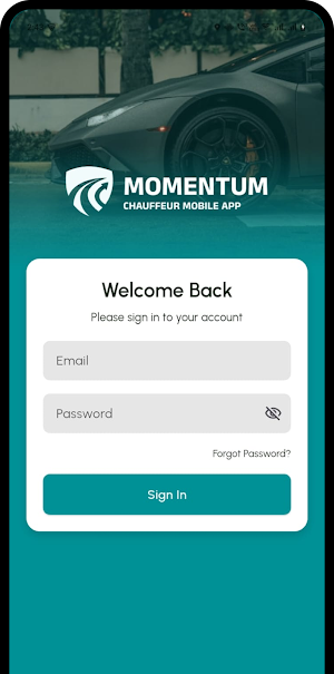 Momentum Driver Screenshot 0