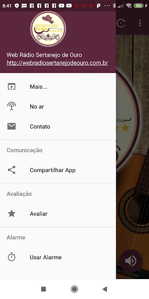 Web Rádio Sertanejo de Ouro Screenshot 1