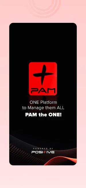 PAM Screenshot 0