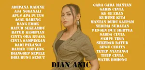 DIAN ANIC MP3 OFFLINE Screenshot 0