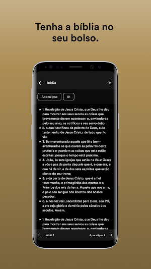 IIR Screenshot 2