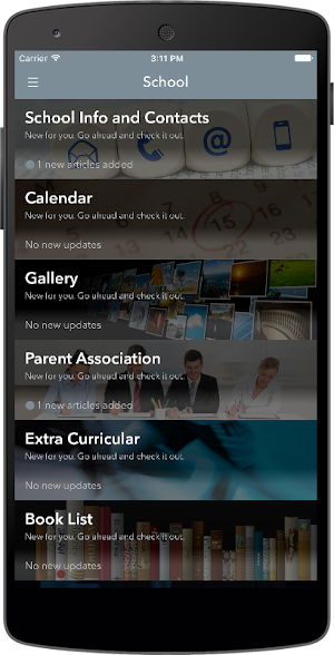 St. Aidans NS Tallaght Screenshot 3