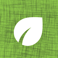 Green AI
