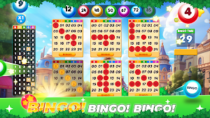 Bingo Lucky - Bingo Money Fun Screenshot 0