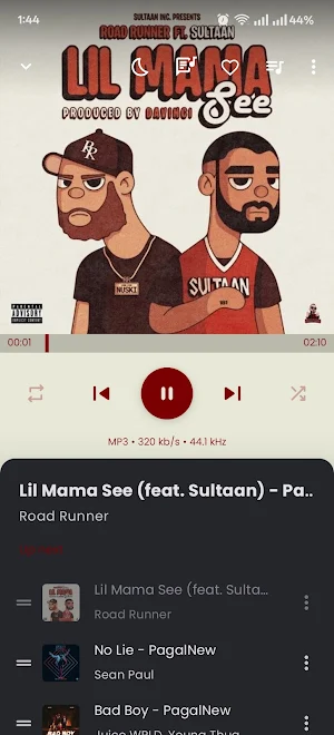 Offline MP3 Music Player Screenshot 1