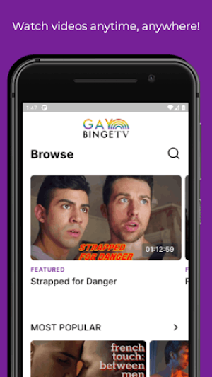 GayBingeTV Screenshot 0
